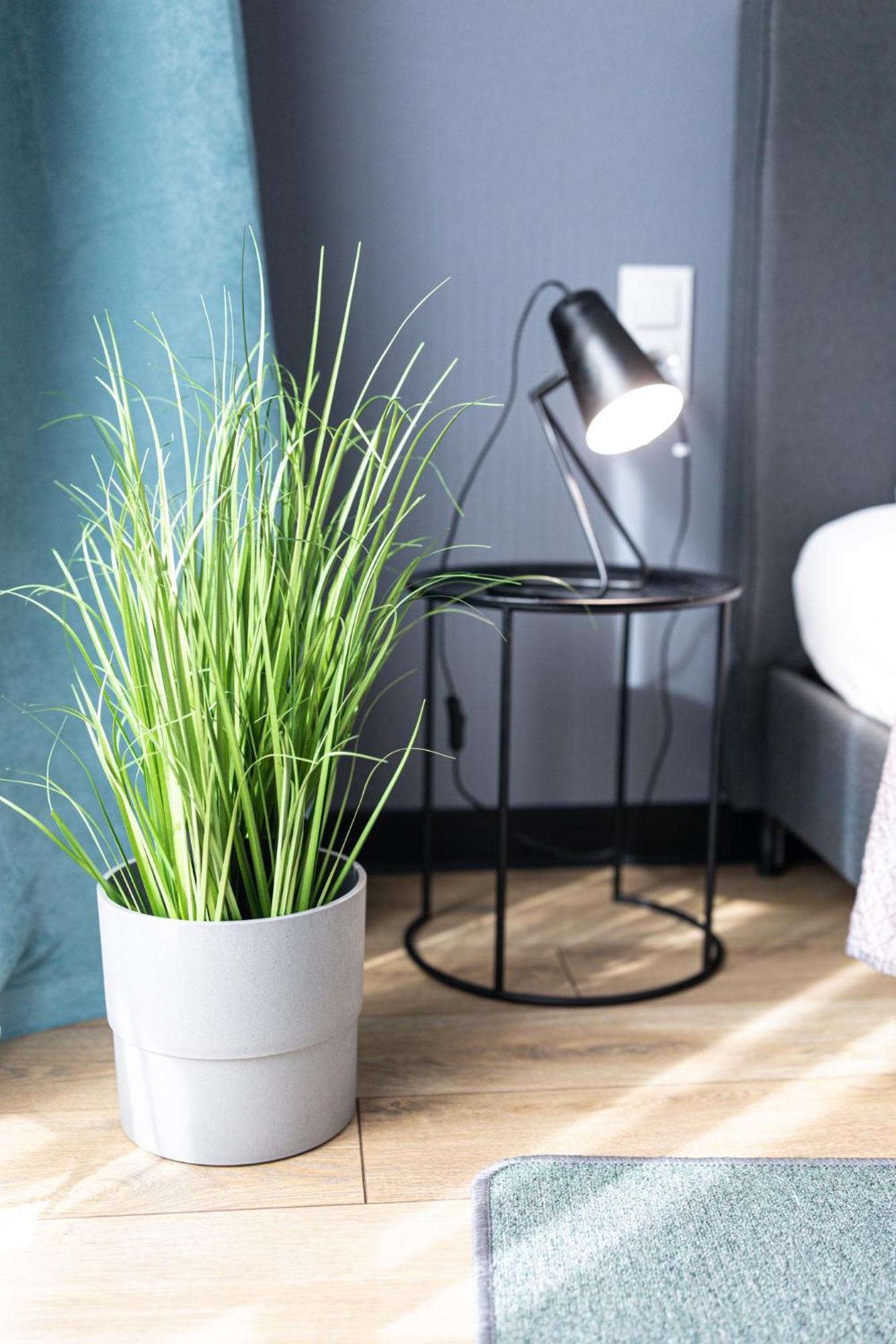 Lm Apartamenty Narutowicza Kamienica Nova 2-3 Szczecin Exteriör bild